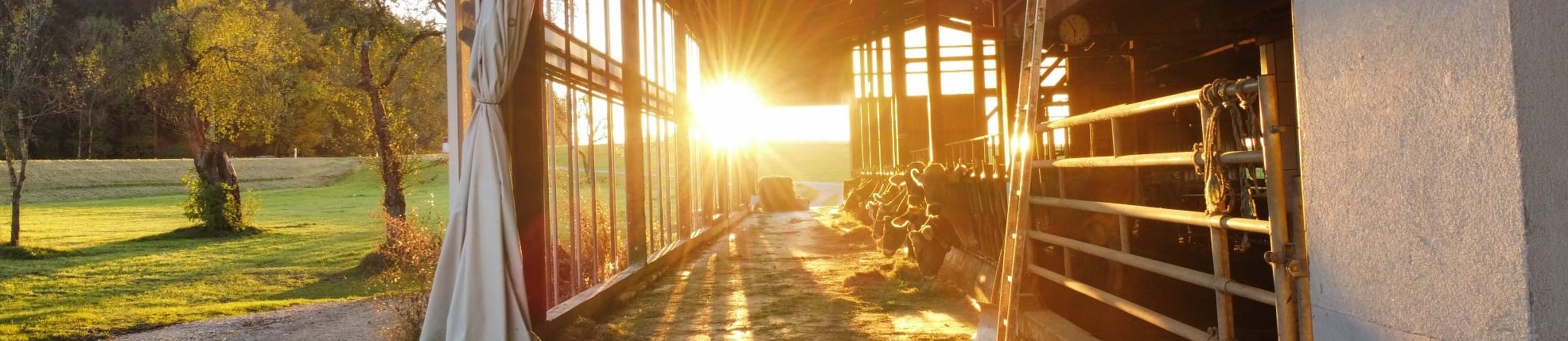 Bild vom Hof mit Sonnenuntergang